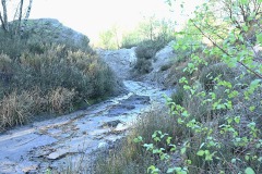 03_Abbaretz-Muriel_F