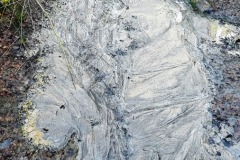 10_Abbaretz-Muriel_F