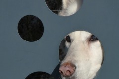 14_Abbaretz-Muriel_F