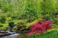 Oriental Garden in Maulevrier