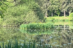 05_Bains-sur-Oust-Simone