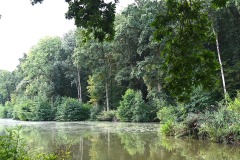 04_Blain-Muriel_F