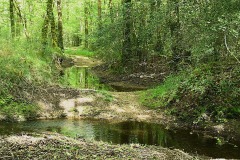 09_Gavre-MurielF
