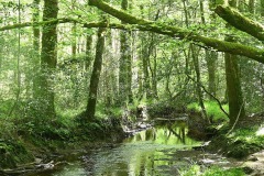 10_Gavre-MurielF