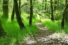11_Gavre-MurielF