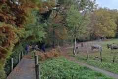 01_Bouguenais-Brigitte_P