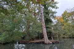 02_Bouguenais-Brigitte_P