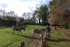 04_Bouguenais-Brigitte_P