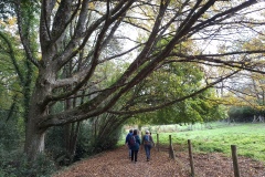 09_Bouguenais-Brigitte_P