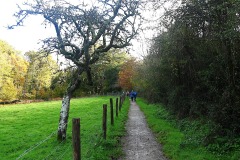 10_Bouguenais-Muriel_F