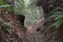 16_Bouguenais-Brigitte_P