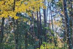 05_Carquefou-Nathalie_C