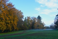 13_Carquefou-Muriel_F