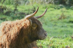 21_Carquefou-Muriel_F