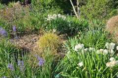 02_Gachet-Roseraie-Yvette