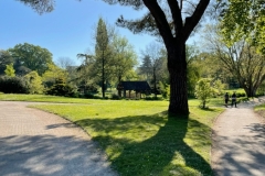 07_Gachet-Roseraie-Francoise