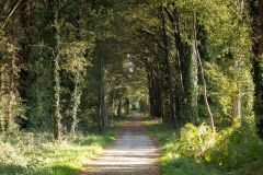 03_Carquefou-Maubreuil-Soungalo