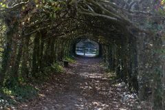 11_Carquefou-Maubreuil-Soungalo