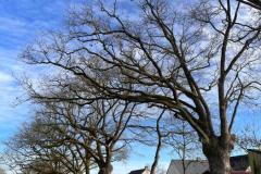15_Casson-Marine