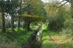 03_Cramezeul-Muriel_F