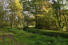 04_Cramezeul-Muriel_F