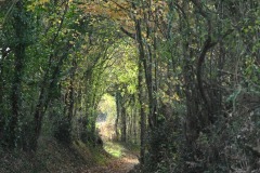 06_Cramezeul-Muriel_F