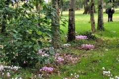 12_Casson-Nathalie