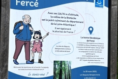 04_Ferce-Muriel_F