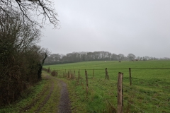 01_Grdchamp-Brigitte_P