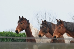 04_Grdchamp-Muriel_F