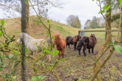 04_Grdchamp-Soungalo