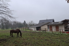 06_Grdchamp-Brigitte_P