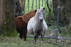 06_Grdchamp-Muriel_F