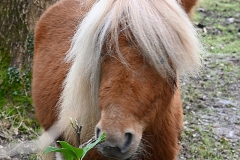 07_Grdchamp-Muriel_F