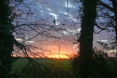 01_Etang_Beaumont-Muriel_F