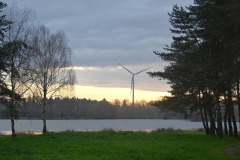 08_Etang_Beaumont-Muriel_F