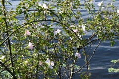 02_Vioreau-Muriel_F
