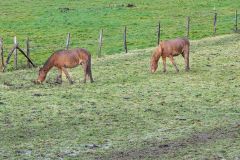 06_La_Chleraie-Soungalo