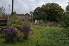 01_Haie-Fouassiere-Brigitte_P