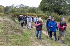 01_Haie-Fouassiere-Soungalo