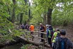 02_Haie-Fouassiere-Brigitte_P