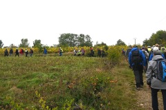 04_Haie-Fouassiere-Muriel_F