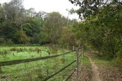 05_Haie-Fouassiere-Muriel_F