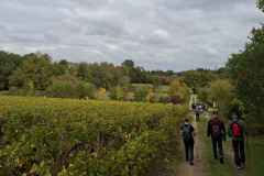 07_Haie-Fouassiere-Brigitte_P