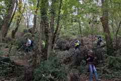 10_Haie-Fouassiere-Brigitte_P