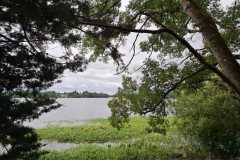 10_Vioreau-BrigitteP