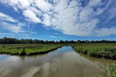 01_Lavau-Nathalie_C