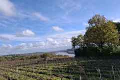 14_Le_Cellier-Brigitte_P