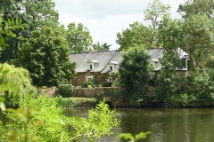 16_Lion-Angers-Muriel_F