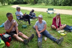 18_Lion-Angers-Brigitte_P